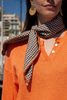 San Handkerchief